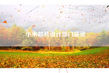小米芯片设计部门薪资