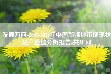 发展方向-2025-2031年中国新媒体市场现状及产业链分析报告-共研网