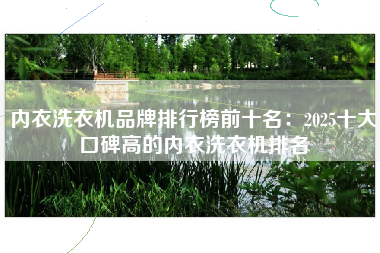 内衣洗衣机品牌排行榜前十名：2025十大口碑高的内衣洗衣机排名