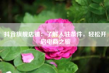 抖音旗舰店铺：了解入驻条件，轻松开启电商之旅