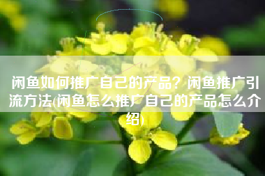 闲鱼如何推广自己的产品？闲鱼推广引流方法(闲鱼怎么推广自己的产品怎么介绍)