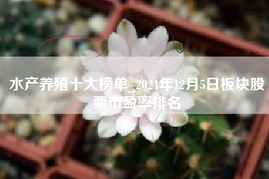 水产养殖十大榜单_2024年12月5日板块股票市盈率排名