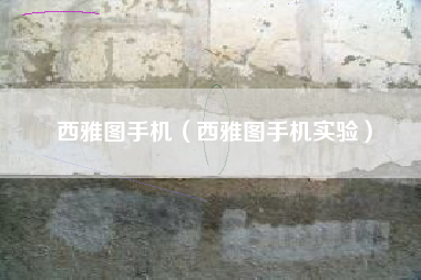 西雅图手机（西雅图手机实验）