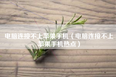电脑连接不上苹果手机（电脑连接不上苹果手机热点）