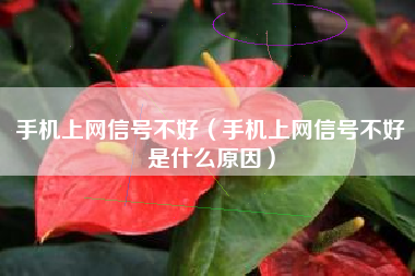 手机上网信号不好（手机上网信号不好是什么原因）