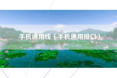 手机通用线（手机通用接口）