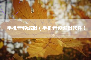 手机音频编辑（手机音频编辑软件）
