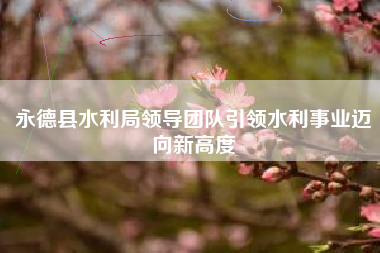 永德县水利局领导团队引领水利事业迈向新高度