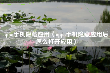 oppo手机隐藏应用（oppo手机隐藏应用后怎么打开应用）