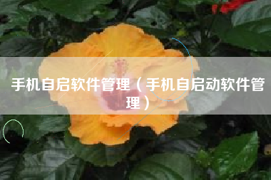 手机自启软件管理（手机自启动软件管理）