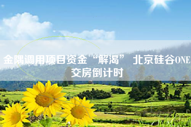 金隅调用项目资金“解渴” 北京硅谷ONE交房倒计时