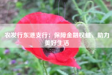 农发行东港支行：保障金融权益，助力美好生活