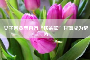 女子因贪恋百万“扶贫款”甘愿成为帮凶